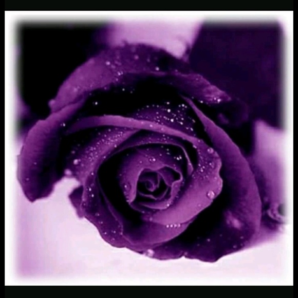 Meet your Posher, Shana - Picture 1 of 1